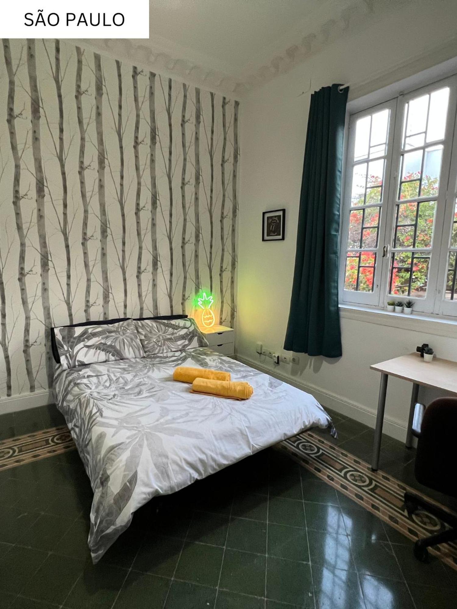 Coliving Villa Brasil 大加那利岛拉斯帕尔马斯 外观 照片